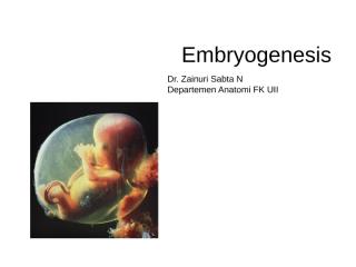 15-dr Zainuri_Embryogenesis dan Organogenesis-blok 2.4 (1).ppt