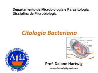 Aula 2 - Citologia Bacteriana.pdf