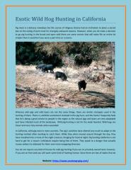 Wild Boar Hunt in California.pdf